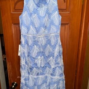Elegant Blue Lace Dress